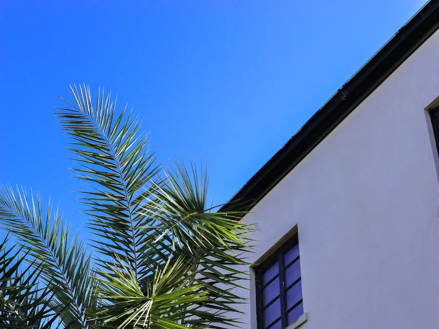 Homes in Boca Raton, Florida